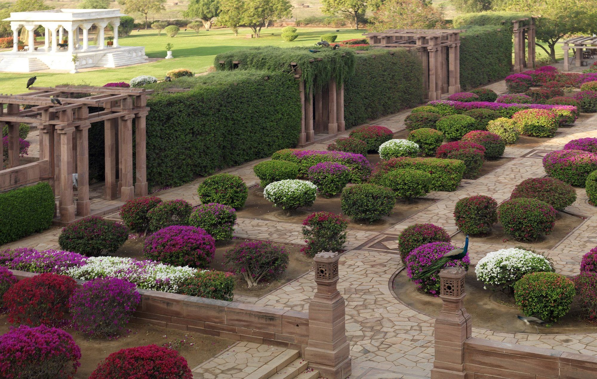 Umaid Bhawan Palace Jodhpur Jodhpur  Faciliteter billede